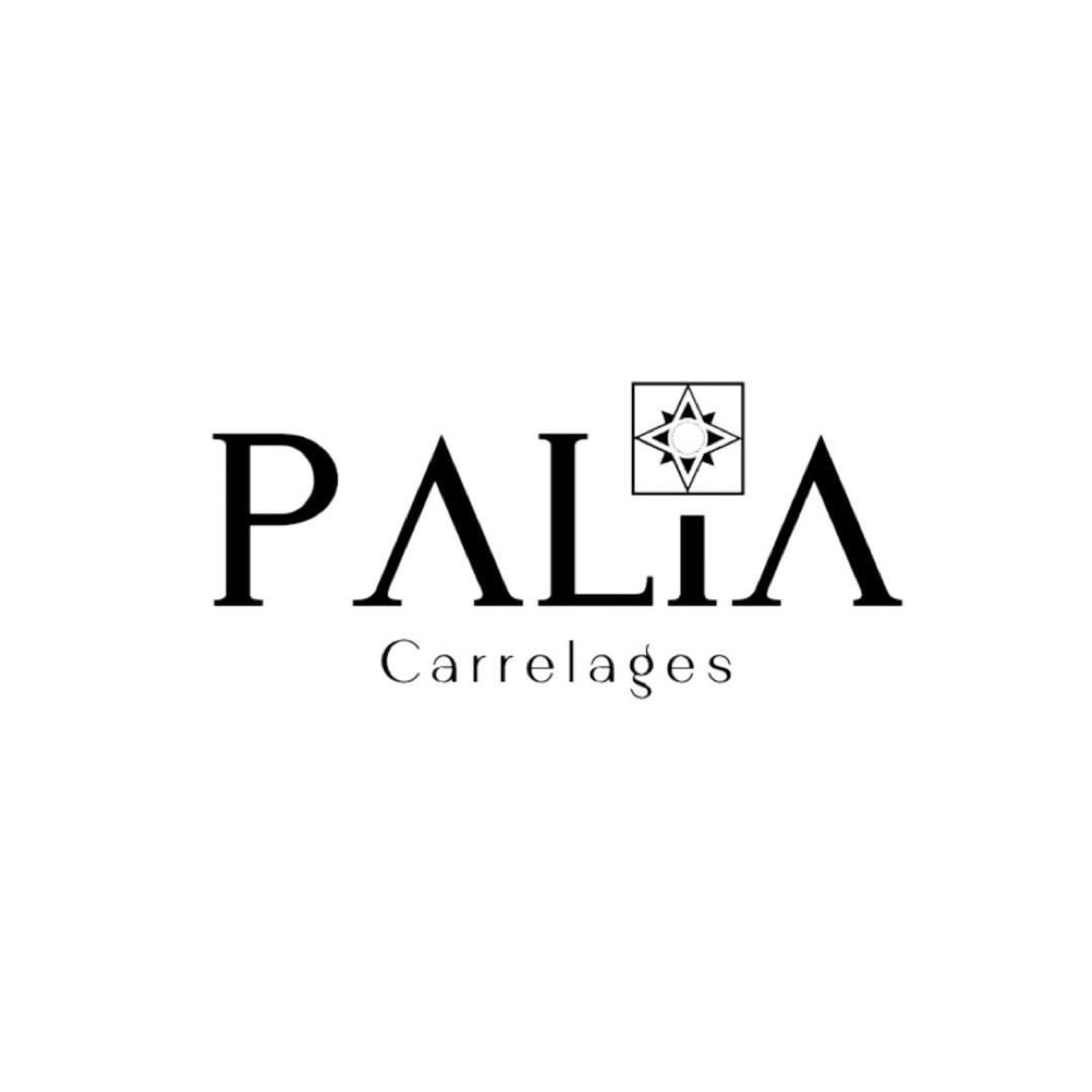 carrement-business-palia-carrelage